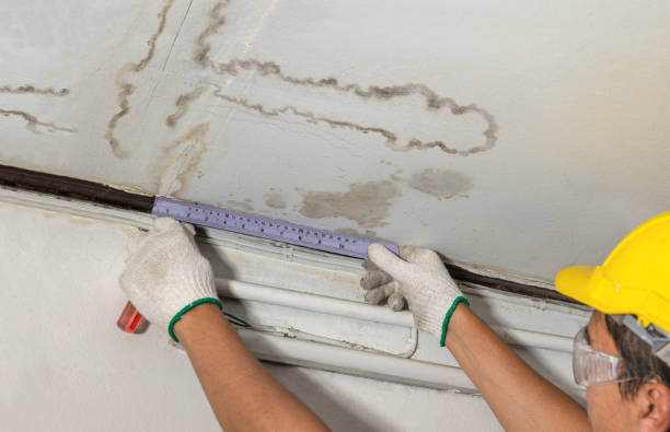 Reliable Sewage Cleanup contractor in Walled Lake, MI by Water Damage Irwin